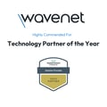 HPE Partner award logo